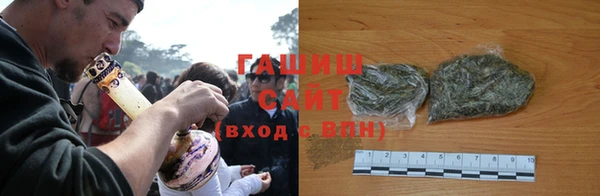 PSILOCYBIN Белокуриха