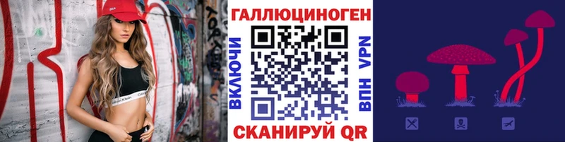 Псилоцибиновые грибы Psilocybe  где продают наркотики  Жуковка 